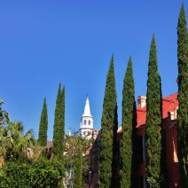 St. Michael's steeple is one of the most prominent and picturesque in Charleston. At this angle, it is framed by some beautiful Italian Cypresses  found in St. Michael's Alley.
