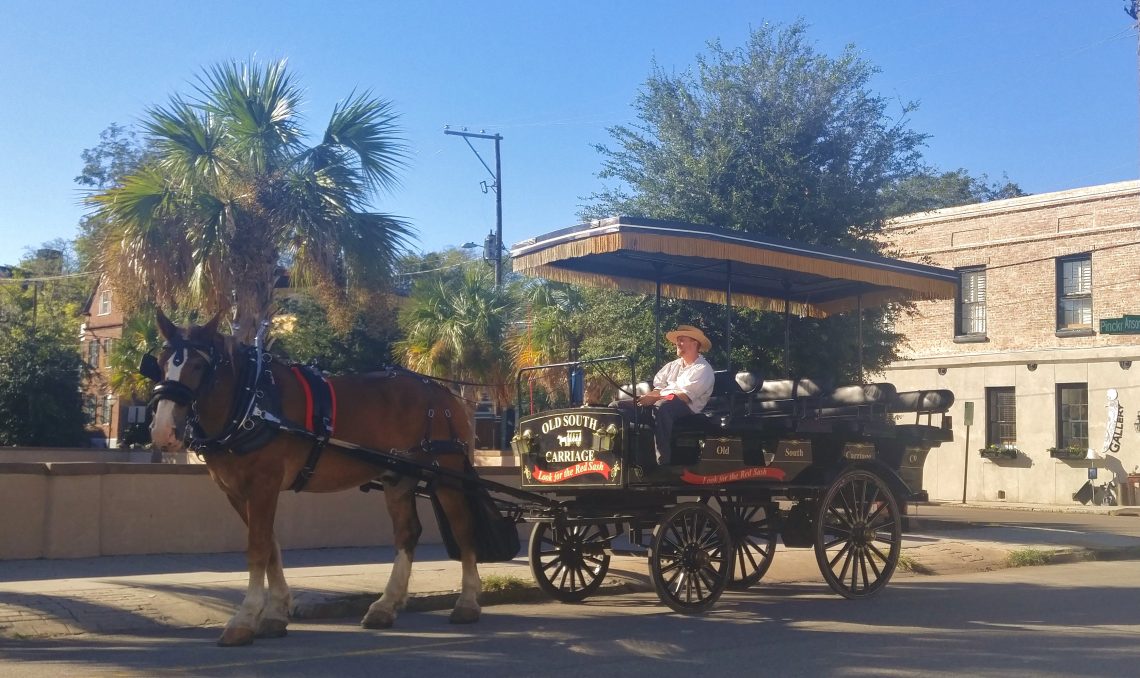 One of the great ways to see Charleston, and learn about the city and its history, is to take one of the carriage tours.