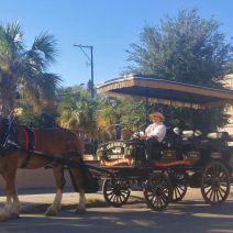 One of the great ways to see Charleston, and learn about the city and its history, is to take one of the carriage tours.