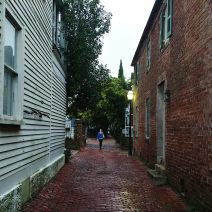 One of the charms of Charleston are the little alleys that intersect the historic peninsula. Here Stoll's Alley is a quick and beautiful cut-through from Church Street to East Bay.