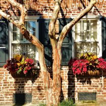This beautiful combination of textures and colors sings Happy Thanksgiving! This wonderful scene can be found on Tradd Street. Glimpses hopes you all have a festive, food-filled and fantastic day. 