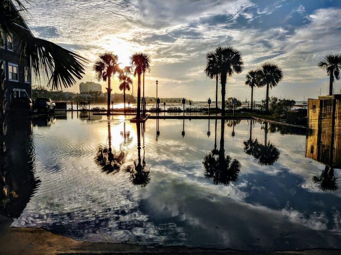 Being part of the Lowcountry sometimes makes life in Charleston a little wet. The King Tide causing flooding, but also creates a gorgeous mirror some for some of the local palmetto trees. 