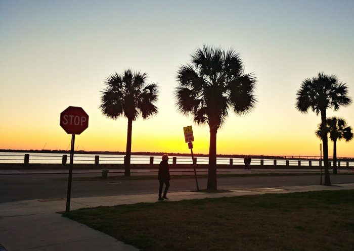 Walking along the Low Battery while the sun is setting is a wonderful way to wrap up a Charleston day.