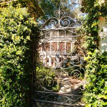 This gate/garden combinations on Gibbes Street is one of my favorite in Charleston.