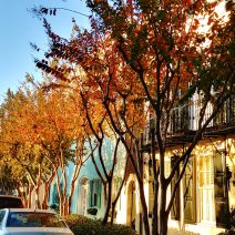 The early morning sun lighting up Rainbow Row on East Bay Street. This historic stretch of antebellum row houses is one of the most iconic and visited spots in Charleston.