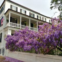 Some amazing wisteria helping frame the beauty of 52 Meeting Street. Ah, spring in Charleston.