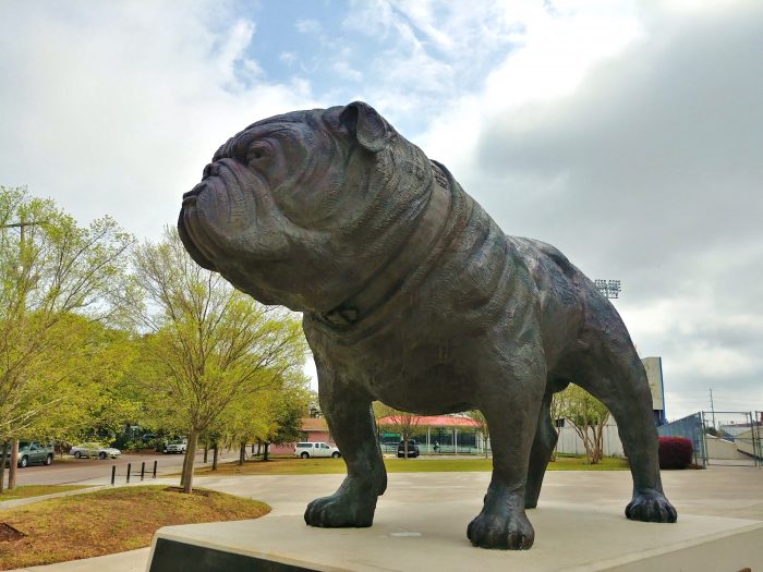 This little pooch can be found outside of the Citadel's Stadium, honoring the the Citadel Bulldogs. The stadium is named after Brigader General Johnson Hagood, who commanded the Confederate forces in Charleston during the Civil War and later became the governor of South Carolina. Nice puppy.