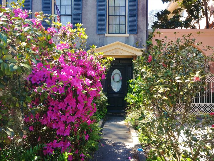 An inviting Charleston entry on Rutledge Avenue. And blooming azaleas make anything look more welcoming.