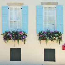 These glorious window boxes and pretty cool shutters (and mailbox) can be found on King Street. So Charleston.