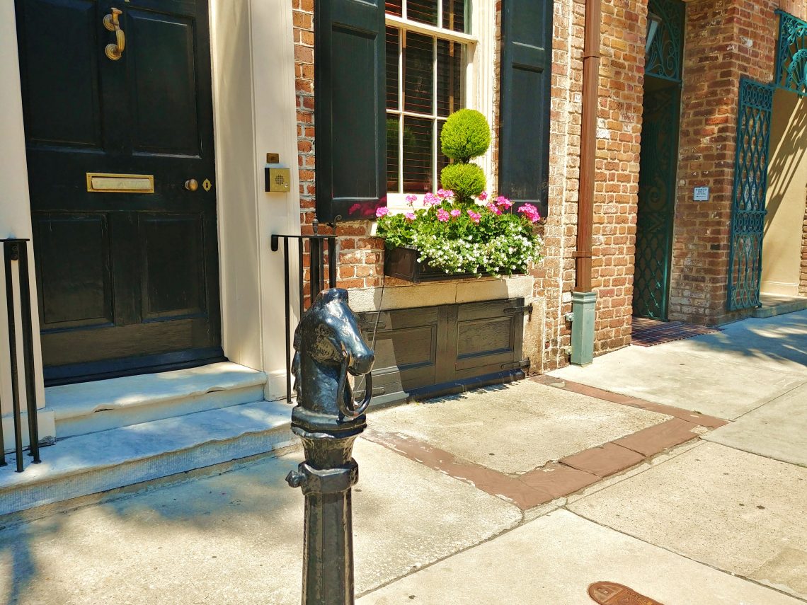 Beautiful window boxes and the Dock Street Theater are just behind this horse on Church Street. Have you tied up there?