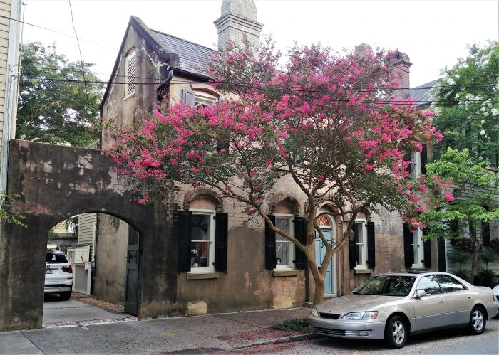 This house on Bull Street stirs memories of France. The stucco over the masonry structure is nicely accented by a beautiful crepe myrtle tree.