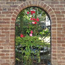 The flower covered view into the garden at 22 Lamboll Street, which served as the rectory for St. Michael's Church from 1895 to 1927, is always a wonderful one. 