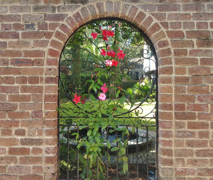 The flower covered view into the garden at 22 Lamboll Street, which served as the rectory for St. Michael's Church from 1895 to 1927, is always a wonderful one. 