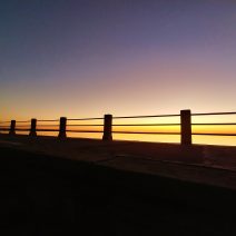 Sunrise along the High Battery in Charleston. It's a beautiful view if you are driving up East Battery.