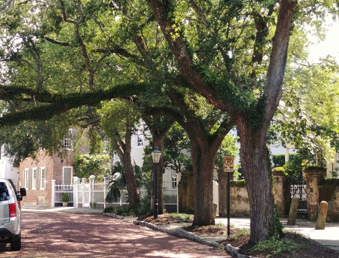 This beautiful spot is part of The Bend on Church Street. So Charleston.