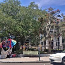 This wonder combination of Flower Lady baskets, a blooming crepe myrtle, Spanish moss, a magnificent live oak tree and a beautiful fountain is along the elegant iron fence in front of the Federal Courthouse at the Four Corners of Law. Classic Charleston.