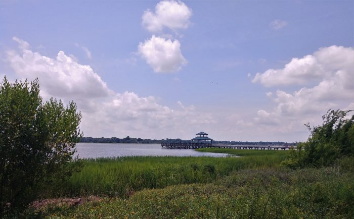 This idyllic scene is actually in downtown Charleston at Brittlebank Park, along the banks of the Ashley River. Charleston is full of such beauty.