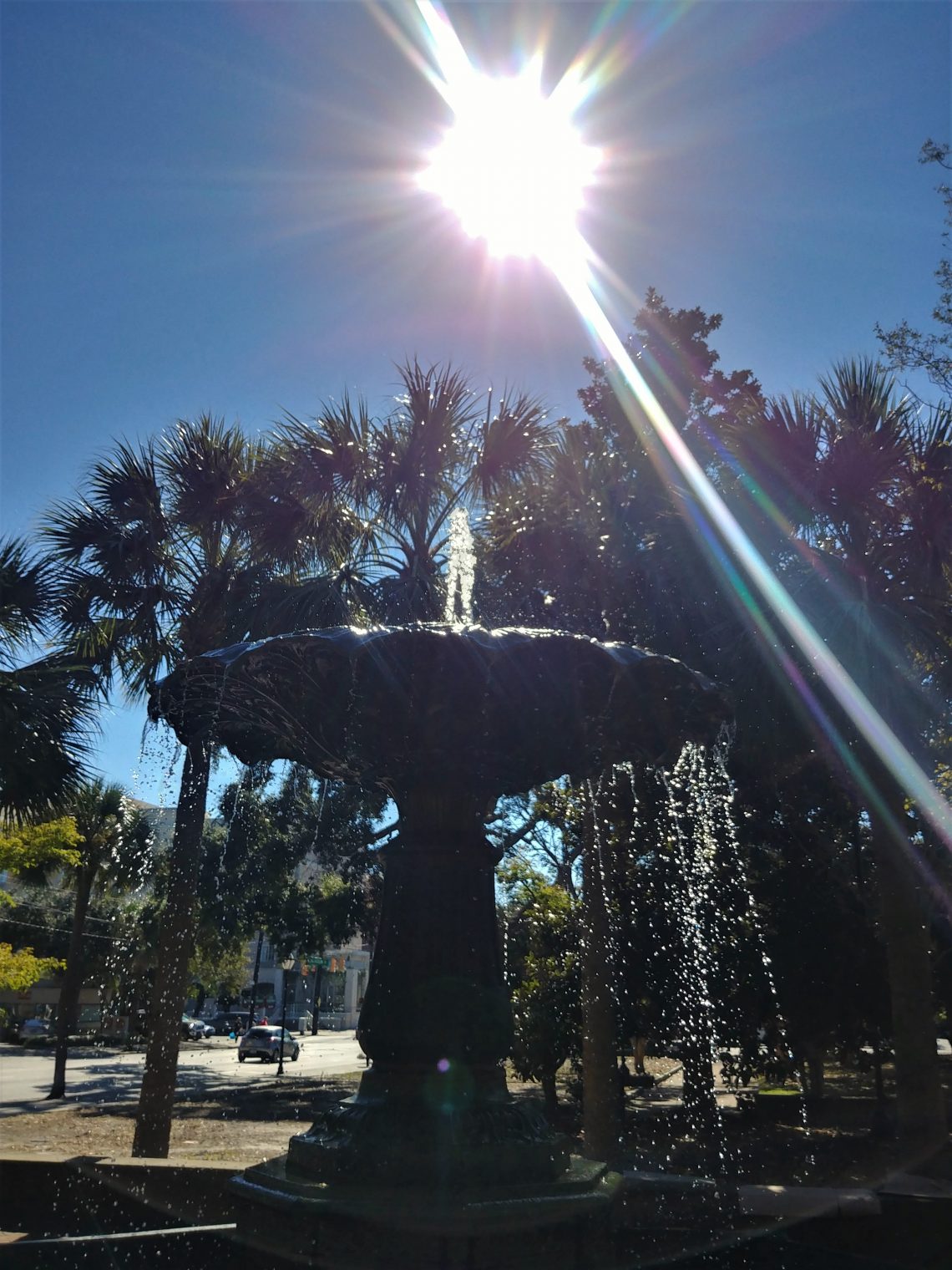 This beautiful fountain can be found on the Meeting Street side of Marion Square, which from 1843 until 1922 was called Citadel Green -- as the space was used to muster troops and the Citadel once occupied the space to the north of the park.