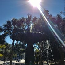 This beautiful fountain can be found on the Meeting Street side of Marion Square, which from 1843 until 1922 was called Citadel Green -- as the space was used to muster troops and the Citadel once occupied the space to the north of the park.