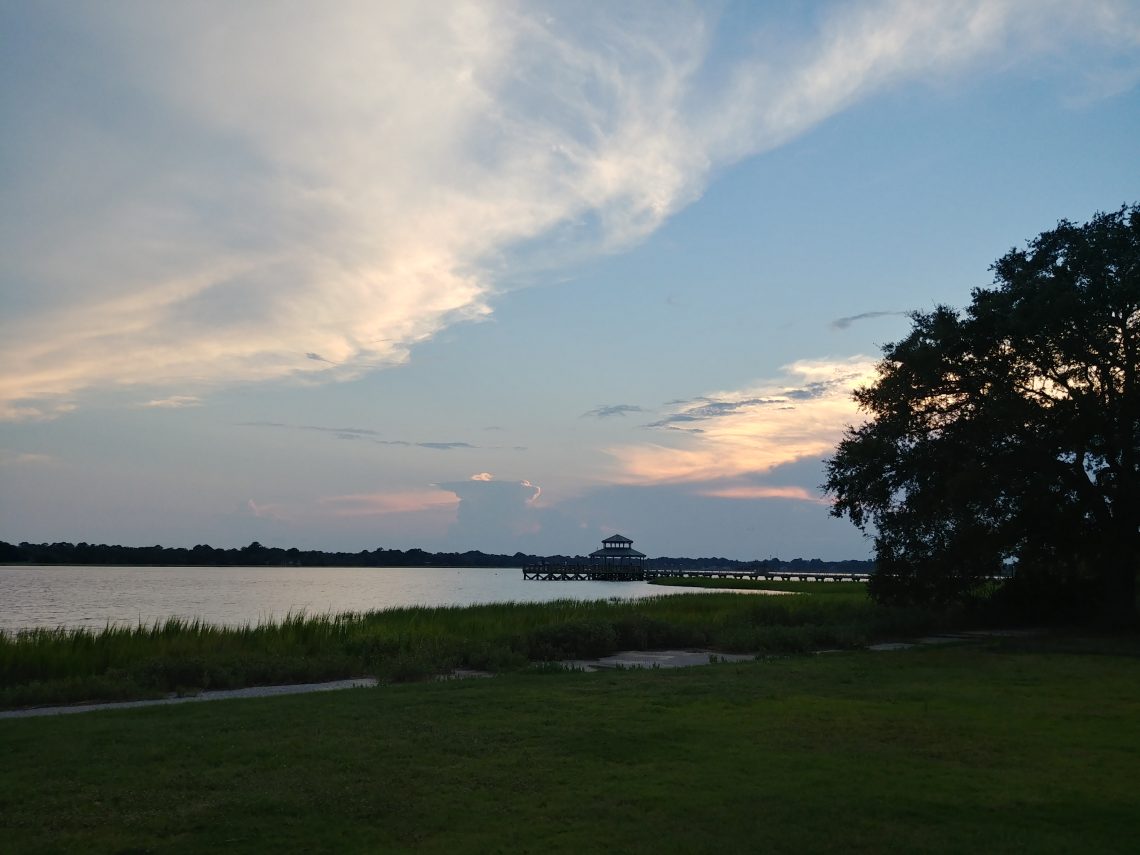 This beautiful view is from Brittlebank Park along the Ashley River in downtown Charleston.