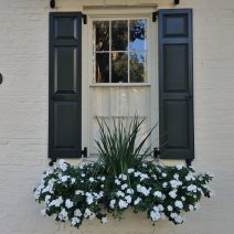 Eye-catching beauty, from small to big, can be found all over Charleston. While this flower box and window may represent a smaller amount, the black disk on the wall indicates something larger. The Carolopolis Award, as represented by the disk, has been bestowed for over 63 years by the Preservation Society of Charleston on properties that have achieved excellence in historic preservation. Look around the city and you will find over 1400 of these symbols.