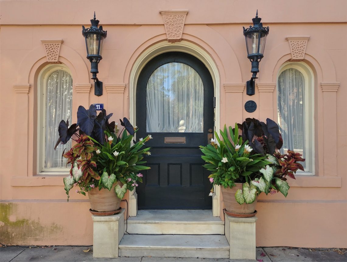 This wonderful combination of architectural details and beautiful plants can be found on Meeting Street, just across from the Calhoun Mansion. A real "wow."