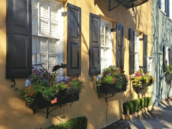 These pretty window boxes can be found on the front of one of the 13 connected Georgian houses that make up the iconic Rainbow Row on East Bay Street. A classic Charleston winter scene.