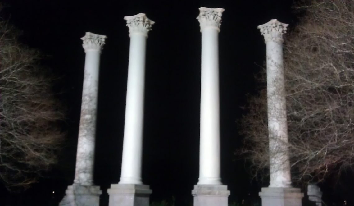 These columns are all that remain of the Charleston Museum, when it located in Cannon Park. The museum was founded in 1773 and is regarded as America's first museum.