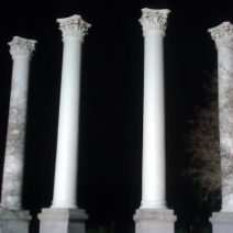 These columns are all that remain of the Charleston Museum, when it located in Cannon Park. The museum was founded in 1773 and is regarded as America's first museum.