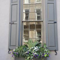 This beautiful window and flower box belong to 58 Meeting Street, which was built sometime before 1772. Caught in the reflection is 60 Meeting Street, across Tradd Street -- which, while built in the 1740s,  in recent years has been well known for dressing up in hats on certain holidays (a witch's hat on Halloween and a Santa hat for Christmas).
