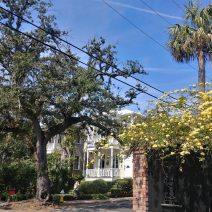 This pretty scene at the corner of Queen and Logan Streets is right across from the Queen Street Grocery -- one the best sources in Charleston for crepes and other great food.