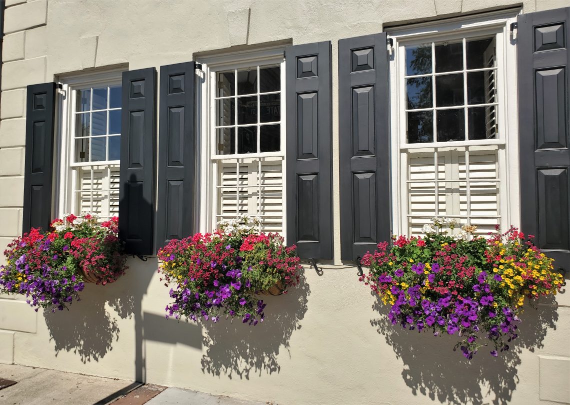 These beautiful window boxes can be found on the house at the corner of State Street and Lodge Alley. Charleston window boxes are amazing!