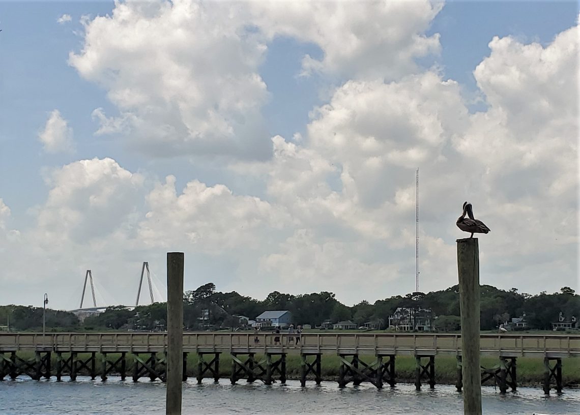While buying fresh off the boat shrimp from Magood Seafood on Shem Creek, I couldn't resist a photo of this preening pelican and the Cooper River Bridge. While not strictly in Charleston, it sure is a glimpse of Charleston.
