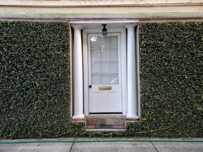 Charleston is full of wonderful doors. This one is on Bull Street.