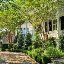 A beautiful afternoon scene along Rutledge Avenue in downtown Charleston.