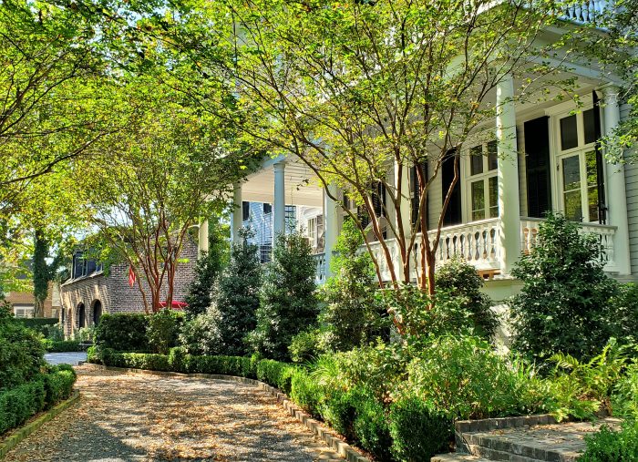 A beautiful afternoon scene along Rutledge Avenue in downtown Charleston.