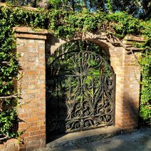 This beautiful gate and wall serve the Parker-Drayton House on Gibbes Street. The owners used to have roosters loose on the property, which accounts for the mesh covering the gate.