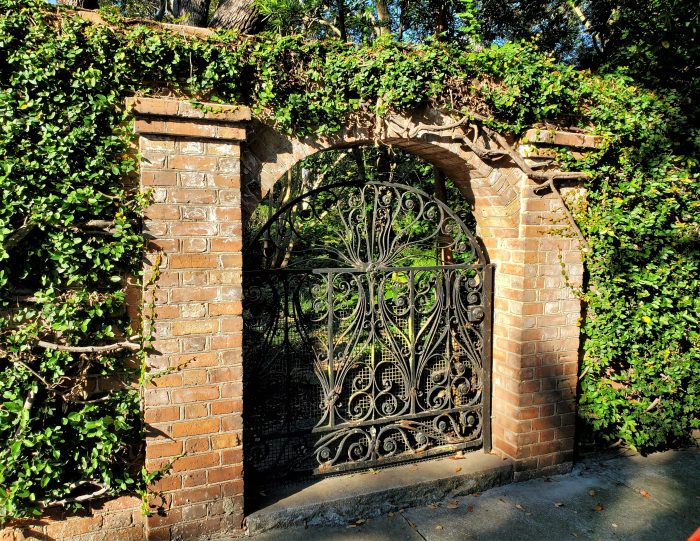 This beautiful gate and wall serve the Parker-Drayton House on Gibbes Street. The owners used to have roosters loose on the property, which accounts for the mesh covering the gate.