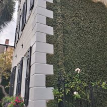 The toothy trim on this Queen Street house is called quoins.  Quoins are found on many Charleston masonry and stucco buildings. The quoins usually serve two purposes — to strengthen the construction and for decoration. Here they are complemented by some very well trained ivy.