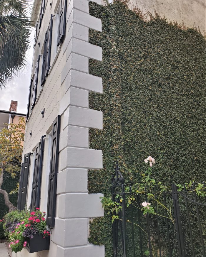 The toothy trim on this Queen Street house is called quoins.  Quoins are found on many Charleston masonry and stucco buildings. The quoins usually serve two purposes — to strengthen the construction and for decoration. Here they are complemented by some very well trained ivy.