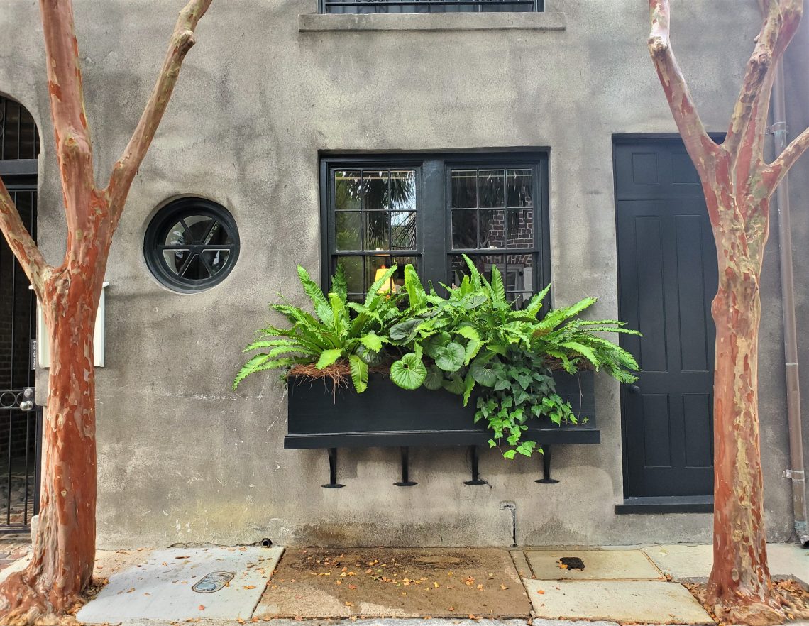 This impressive window box is on the building that housed the Poinsett Tavern on Elliott Street, built about 1732. Poinsett's descendant was the US ambassador to Mexico and introduced the Poinsettia to the United States.