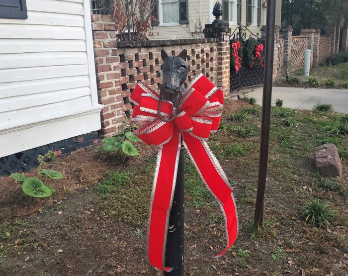 You can find this well dressed horse just down Chisolm Street from the Horse Lot -- a former mill pond that was filled in to create grazing land for horse. Now a small city park, it is primarily used by dogs and for all sorts of athletic activities.