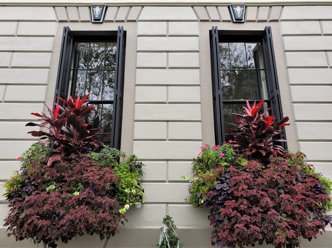 These wonderful window boxes are on the Patrick O'Donnell House (aka O'Donnell's Folly) on King Street. The largest Italianate house in Charleston, it will always be linked to President Barack that he directly referred to the house’s amazing piazzas in his first presidential election night acceptance speech