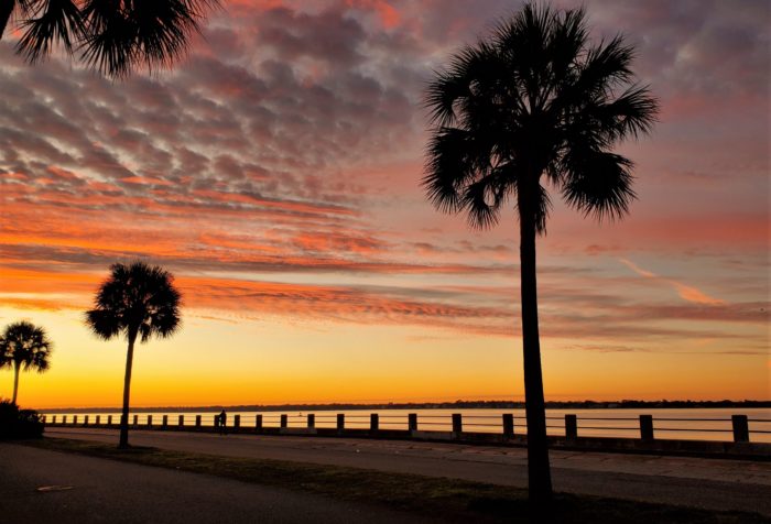 Just before dawn along Murray Boulevard