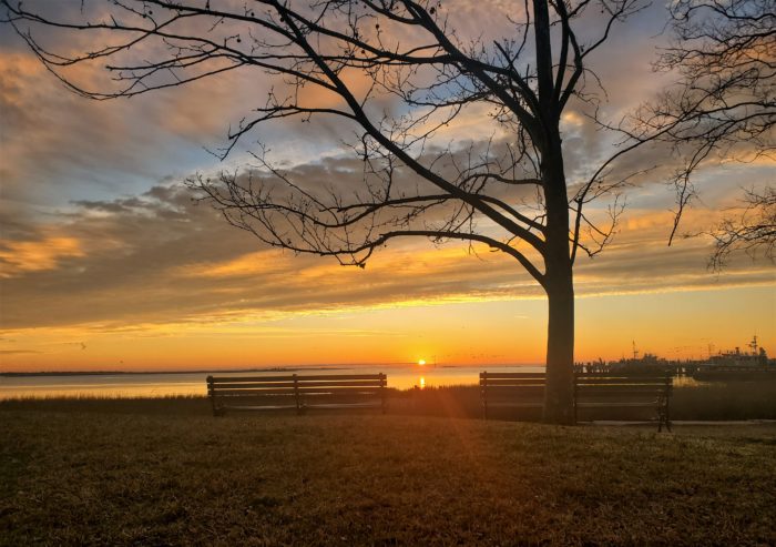 The sun just rising above Charleston harbor, with Ft. Sumter in the distance and huge flocks of White Ibis winging their way out to breakfast.