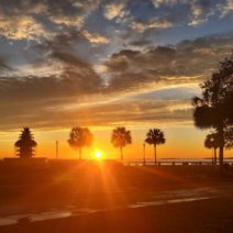 A beautiful sunrise seen across Joe Riley Waterfront Park.  Serving over 40 years, Joseph P. Riley Jr. was the longest serving Charleston mayor and the 22nd longest in US history.