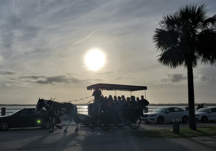 January is the coldest month of the year in Charleston. Can you feel it in this photo along Murray Boulevard?