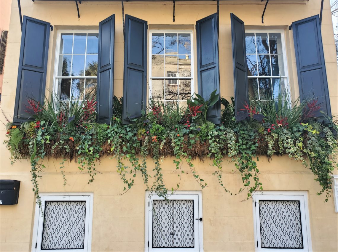 These flower boxes are on the northernmost of the "Three Sisters" houses on Meeting Street. This house, the youngest of the sisters, is different from its siblings in that they were built before the American Revolution (1770 and 1760),  and this one was built after (about 1800).