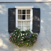 With the positioning of many Charleston houses right up to the sidewalk (particularly, the sideways facing Charleston single houses), window boxes often replace having a front yard -- and they are generally treated with the same loving care.