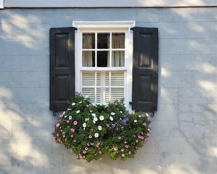 With the positioning of many Charleston houses right up to the sidewalk (particularly, the sideways facing Charleston single houses), window boxes often replace having a front yard -- and they are generally treated with the same loving care.